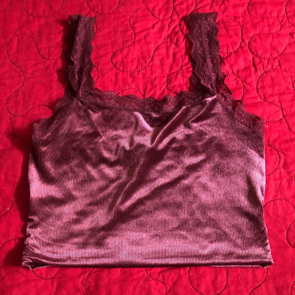 Velvet Crop Top